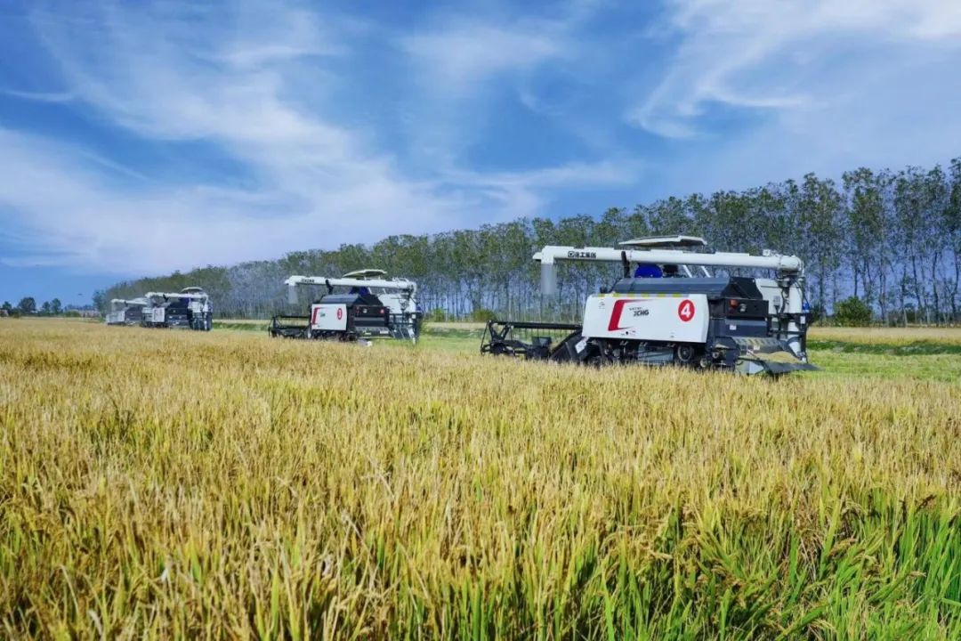 pp电子·(中国)官方网站