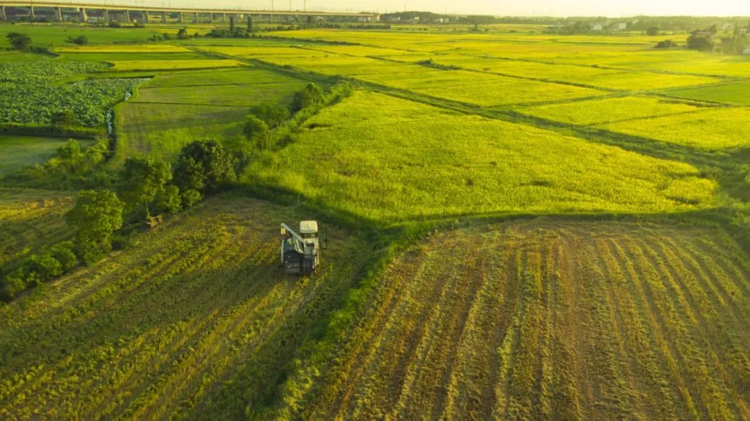 pp电子·(中国)官方网站