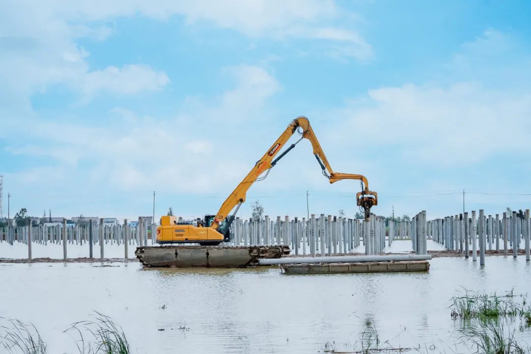 pp电子·(中国)官方网站