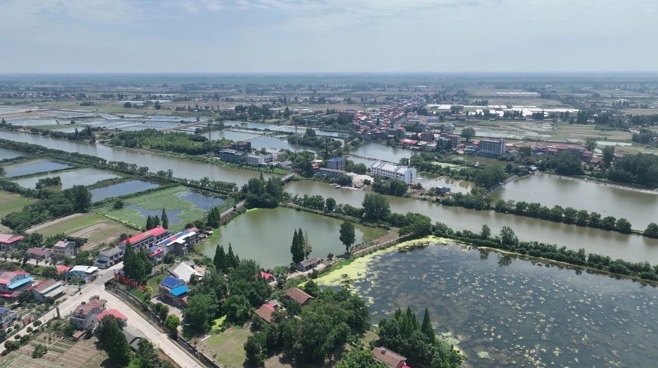 pp电子·(中国)官方网站